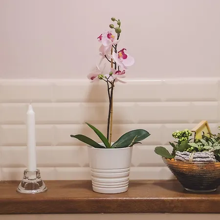 Victoria Apartment